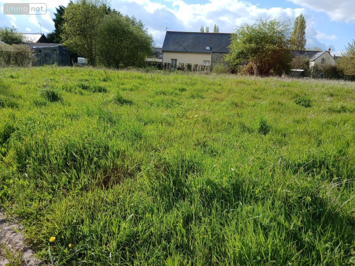 Terrain a batir a vendre Corné 49630 Maine-et-Loire 1006 m2  136150 euros