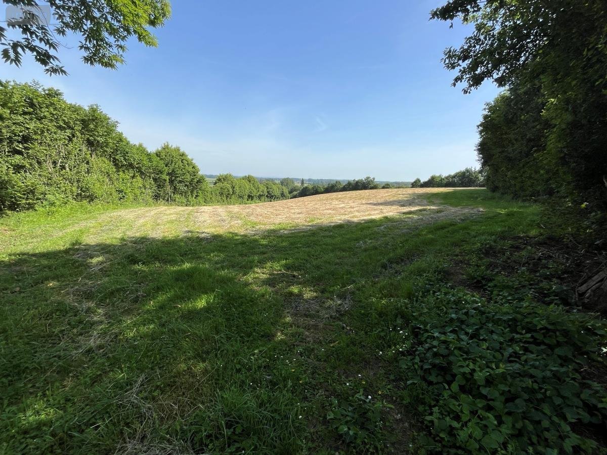 Terrains de loisirs bois etangs a vendre La Bazoge 72650 Sarthe 14304 m2  14800 euros
