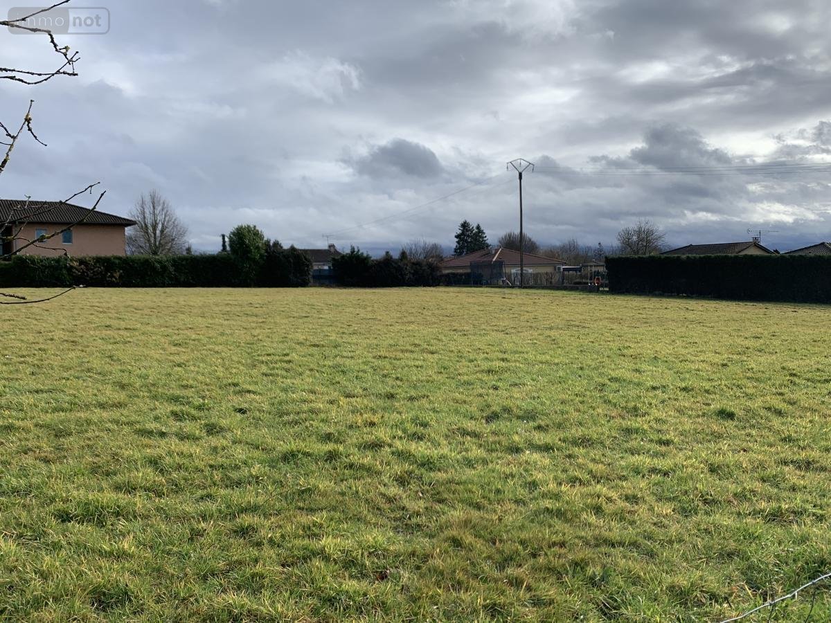 Terrain a batir a vendre Dompierre-sur-Veyle 01240 Ain 3100 m2  185000 euros