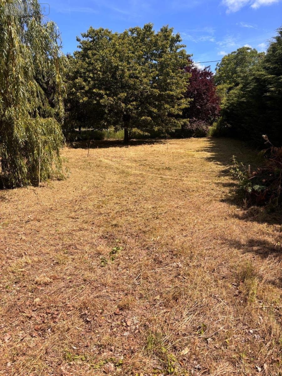 Terrain a batir a vendre Crouzilles 37220 Indre-et-Loire 2334 m2  33600 euros