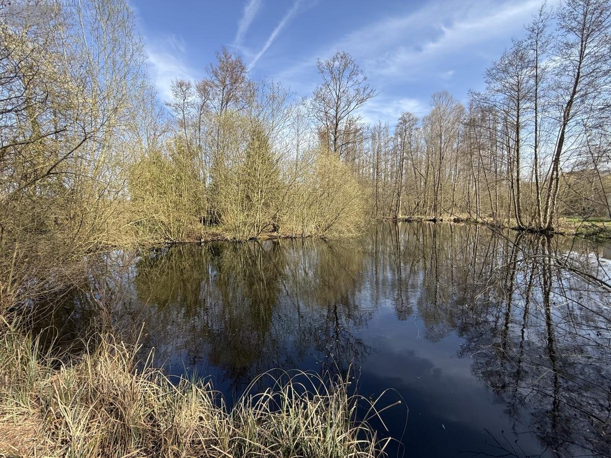 Terrains de loisirs bois etangs a vendre Glisy 80440 Somme 15055 m2  110000 euros