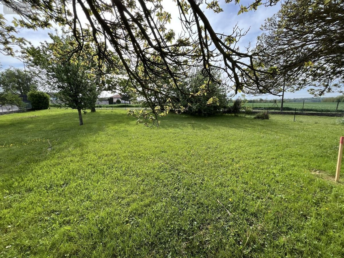 Terrain a batir a vendre Pizay 01120 Ain 577 m2  130000 euros