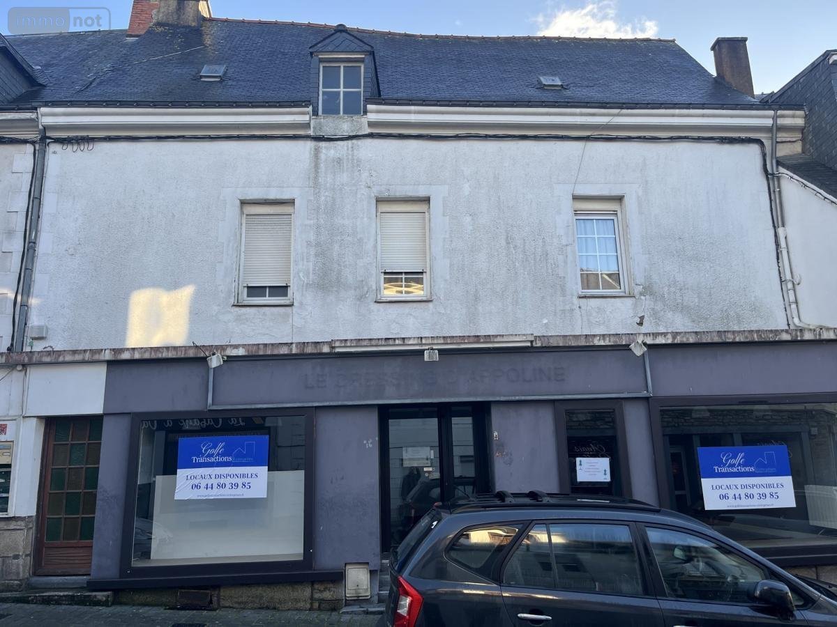 Immeuble a vendre Ploërmel 56800 Morbihan 206 m2  223900 euros