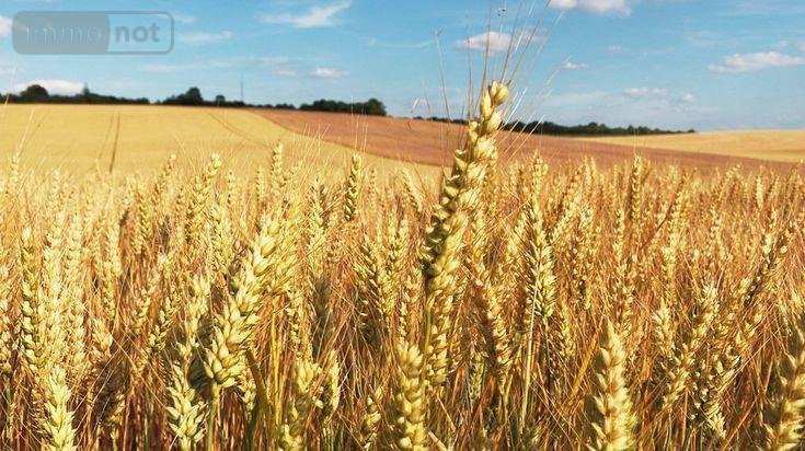 Terrains de loisirs bois etangs a vendre Rosporden 29140 Finistère 128965 m2  79500 euros