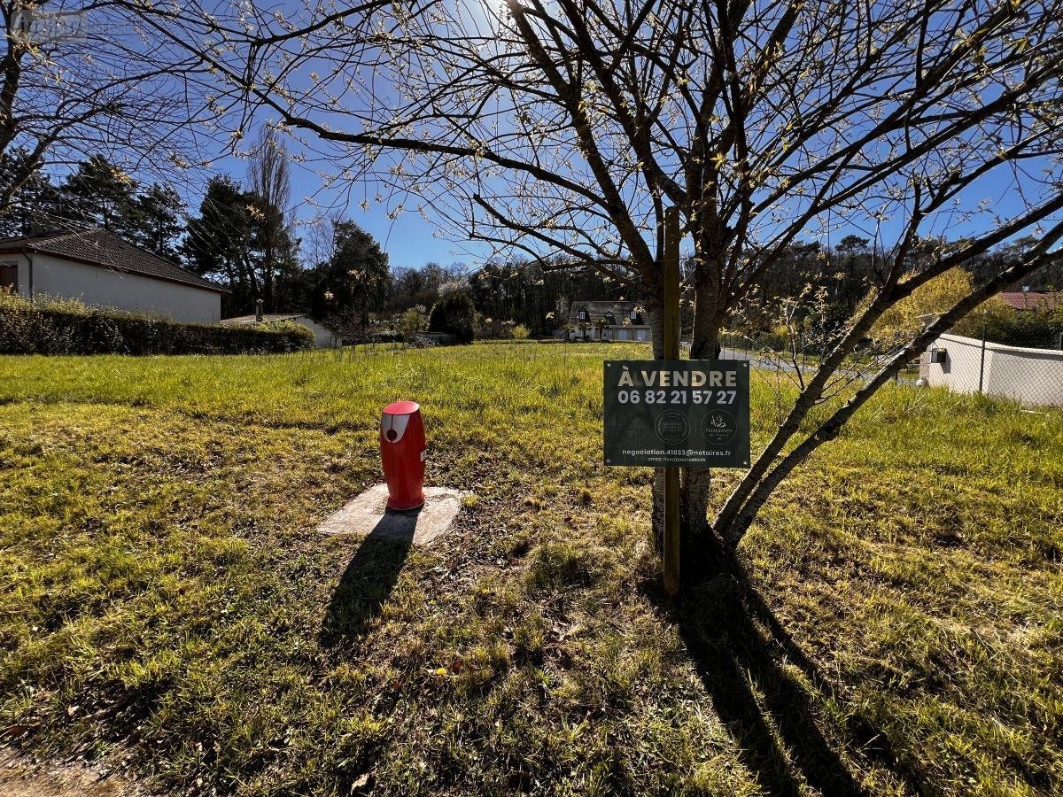 Terrain a batir a vendre Mareuil-sur-Cher 41110 Loir-et-Cher 1465 m2  23000 euros