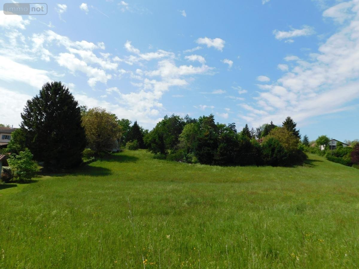 Terrain a batir a vendre Jujurieux 01640 Ain 563 m2  73500 euros