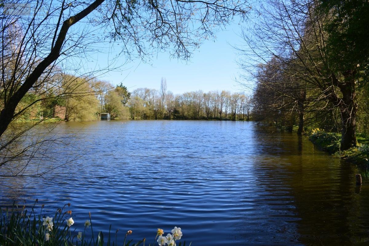 Terrains de loisirs bois etangs a vendre Bouère 53290 Mayenne 16370 m2  85600 euros