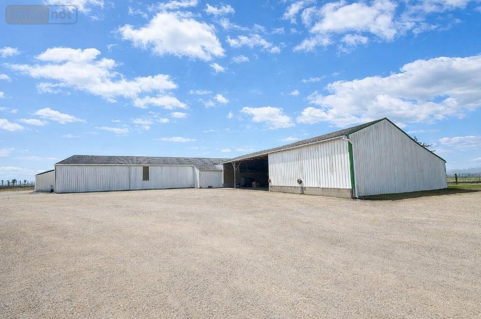 Fonds et murs commerciaux a vendre Plumelec 56420 Morbihan 1369 m2  379417 euros