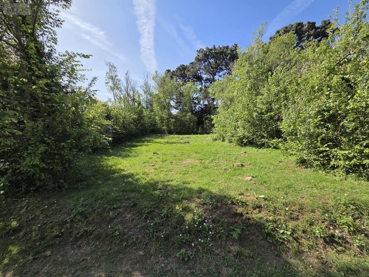 Terrain a batir a vendre Groix 56590 Morbihan 309 m2  104000 euros