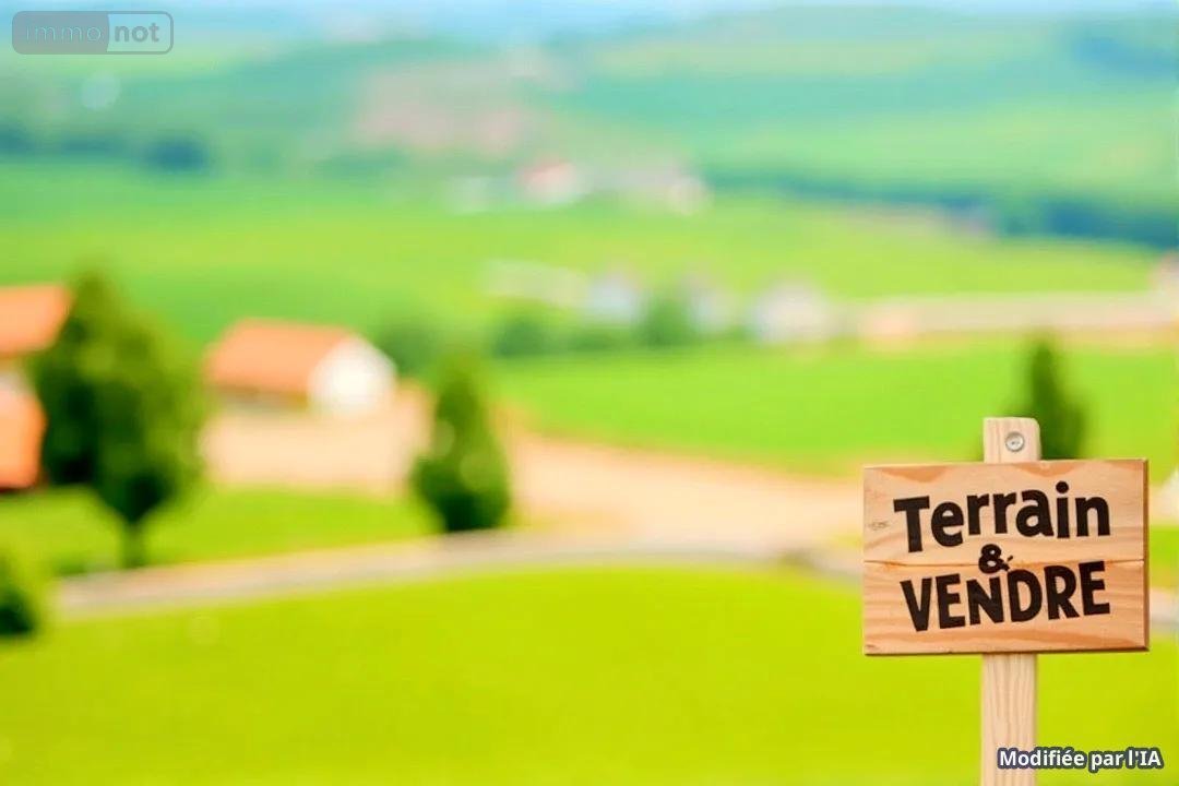 Terrain a batir a vendre Neuil 37190 Indre-et-Loire 1793 m2  53200 euros