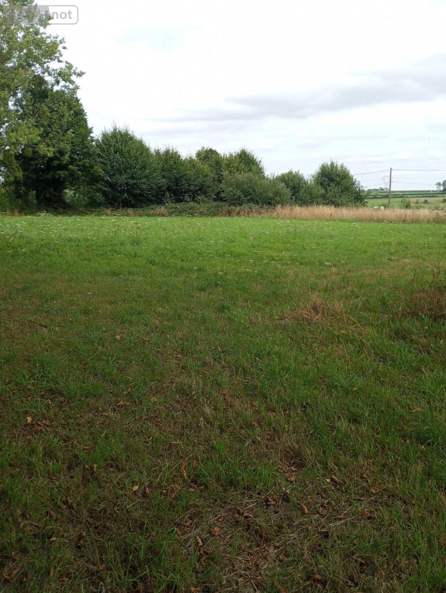 Terrains de loisirs bois etangs a vendre Clairfontaine 02260 Aisne 7069 m2  86000 euros