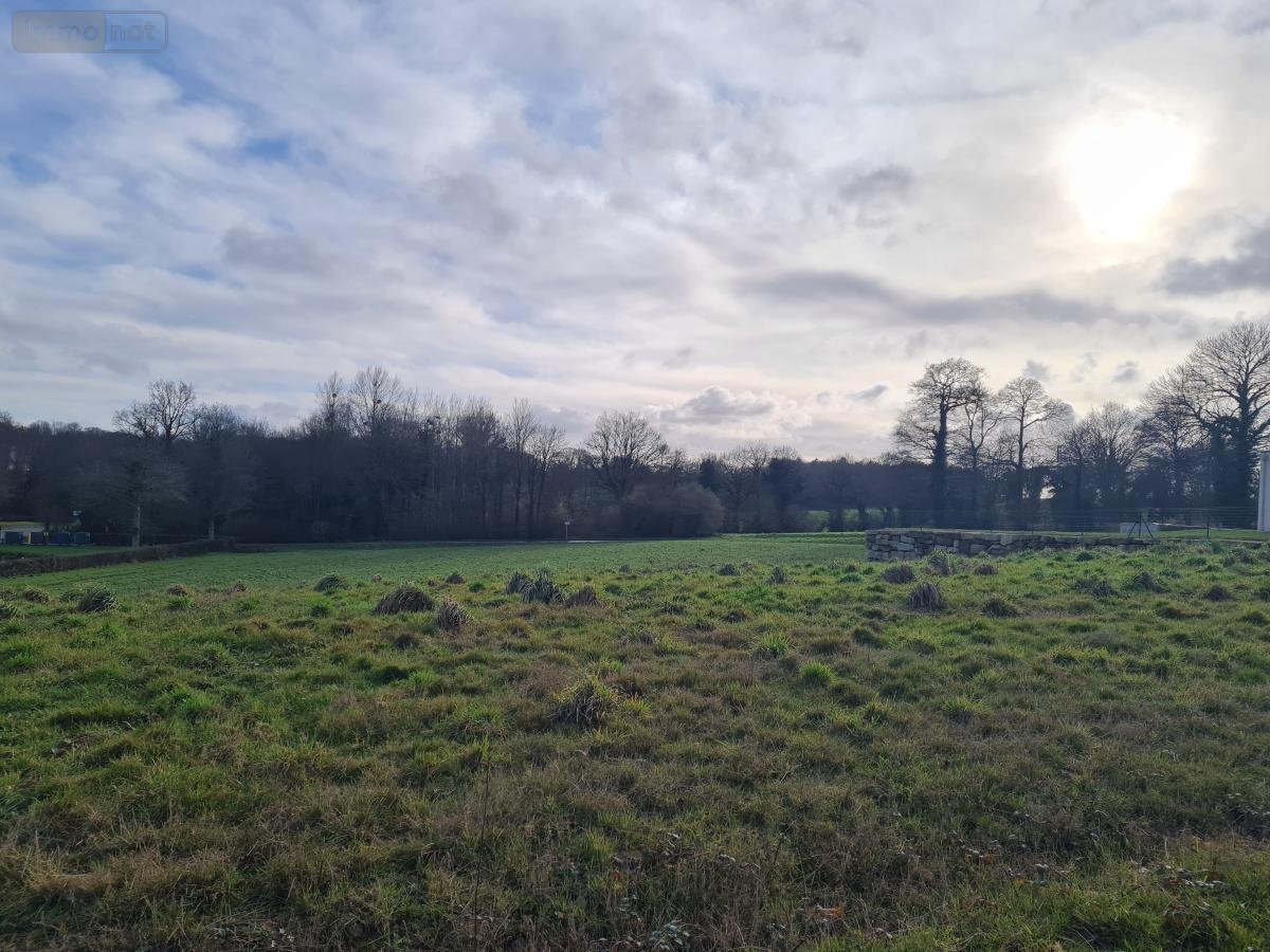 Terrain a batir a vendre Pleugriffet 56120 Morbihan 3740 m2  37400 euros