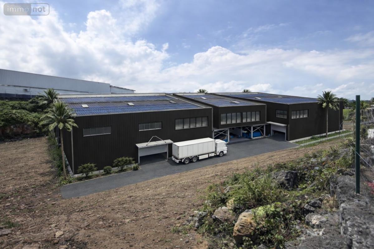 Terrain a batir a vendre Le Tampon 97430 Réunion 2043 m2  2915000 euros