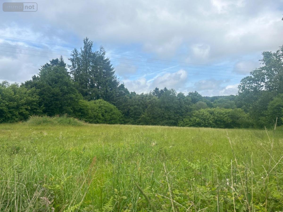 Terrain a batir a vendre Berrien 29690 Finistère 3470 m2  39500 euros
