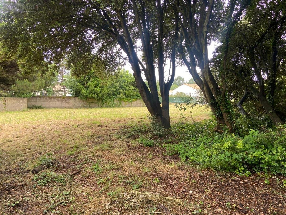 Terrain a batir a vendre Le Grand-Village-Plage 17370 Charente-Maritime 417 m2  116600 euros