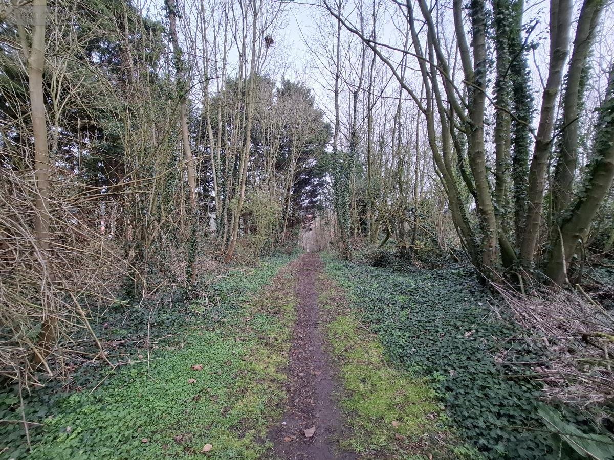 Terrains de loisirs bois etangs a vendre Ames 62190 Pas-de-Calais 1163 m2  28000 euros