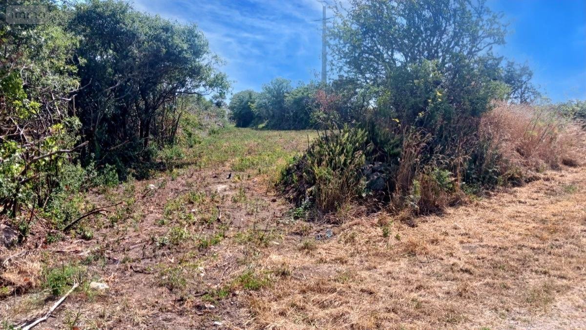 Terrain a batir a vendre Vicq-sur-Mer 50330 Manche 865 m2  69680 euros