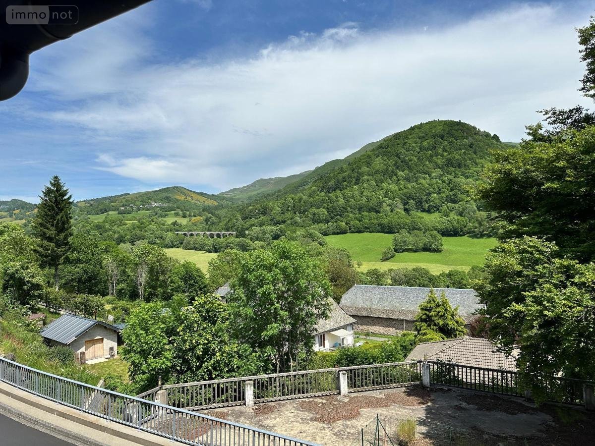 Fonds et murs commerciaux a vendre Saint-Jacques-des-Blats 15800 Cantal 700 m2  95400 euros