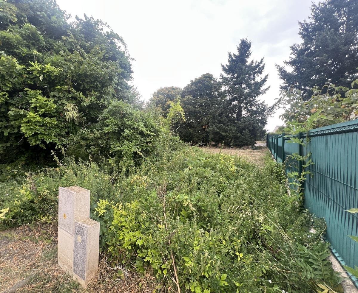 Terrain a batir a vendre Artannes-sur-Indre 37260 Indre-et-Loire 956 m2  135000 euros