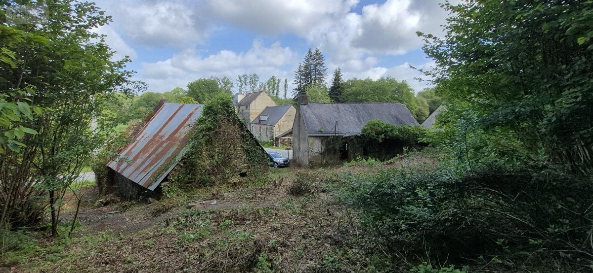 Maison a vendre Larré 56230 Morbihan 74 m2  53500 euros