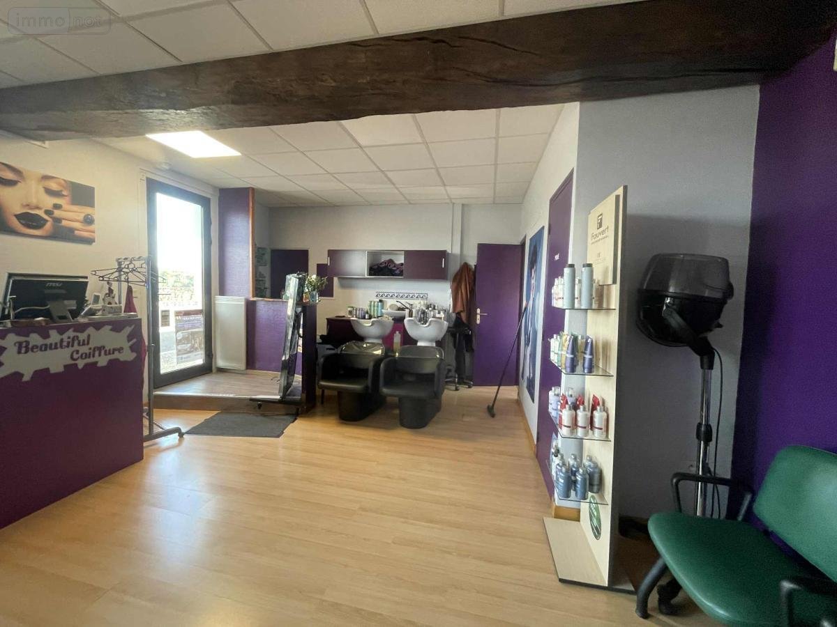 Immeuble a vendre Saint-Clément-des-Levées 49350 Maine-et-Loire 63 m2  82680 euros