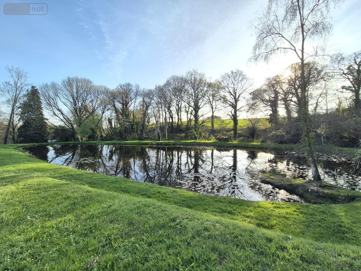 Terrains de loisirs bois etangs a vendre Sérent 56460 Morbihan 2583 m2  10400 euros