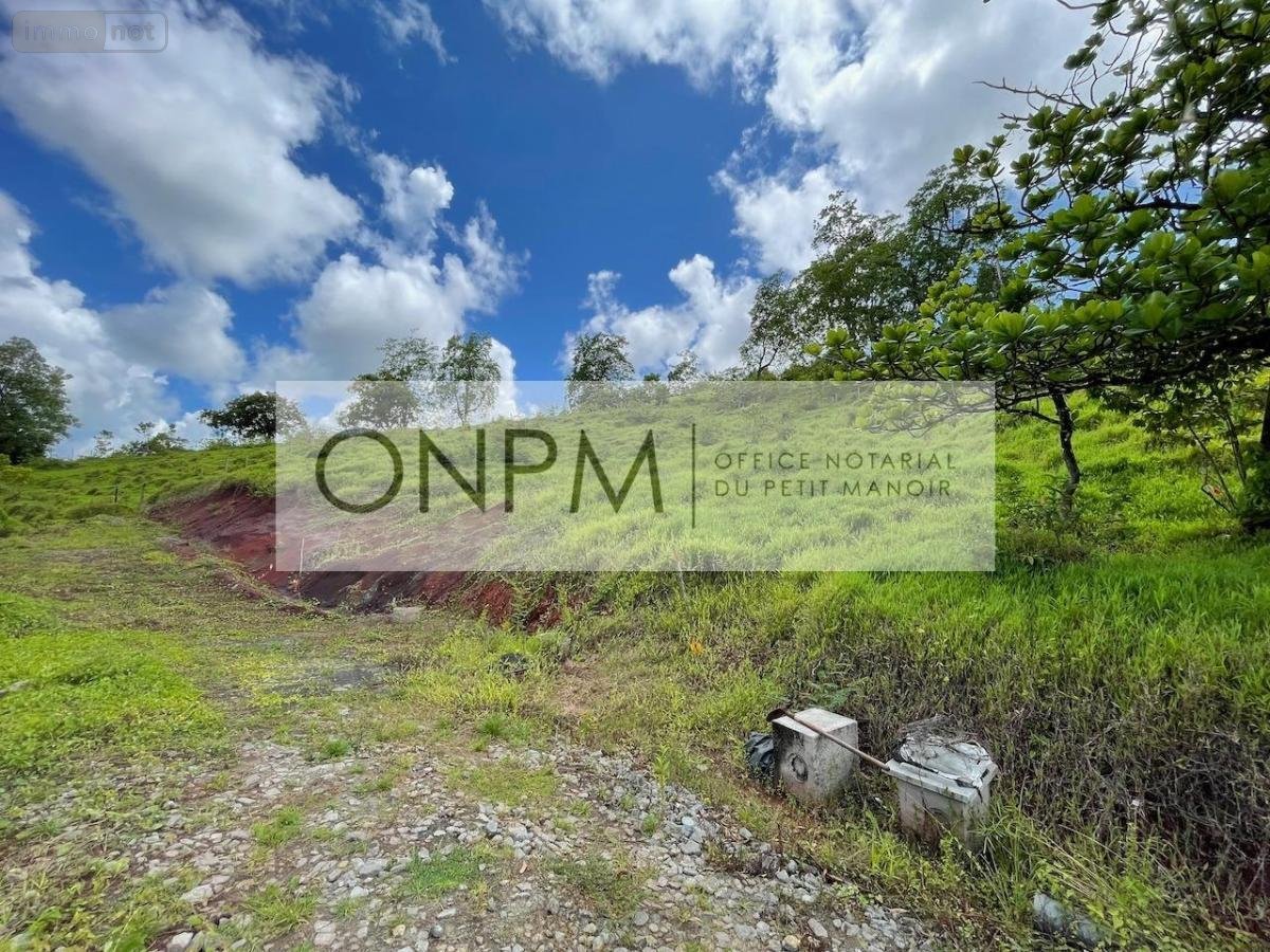 Terrain a batir a vendre Rivière-Salée 97215 Martinique 614 m2  67000 euros