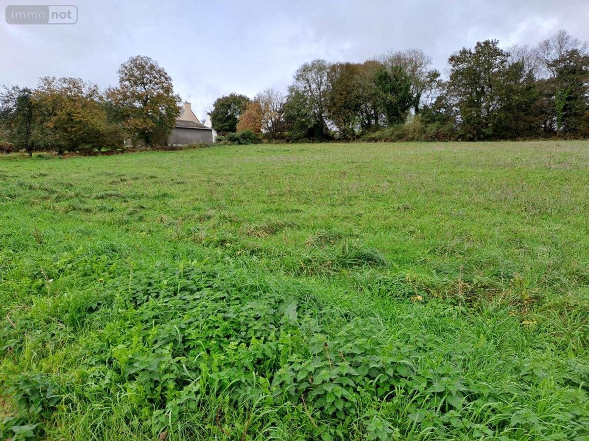 Terrain a batir a vendre Scrignac 29640 Finistère 4145 m2  31500 euros