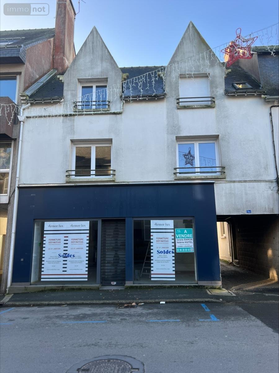 Immeuble a vendre Loudéac 22600 Côtes-d'Armor 230 m2  239200 euros