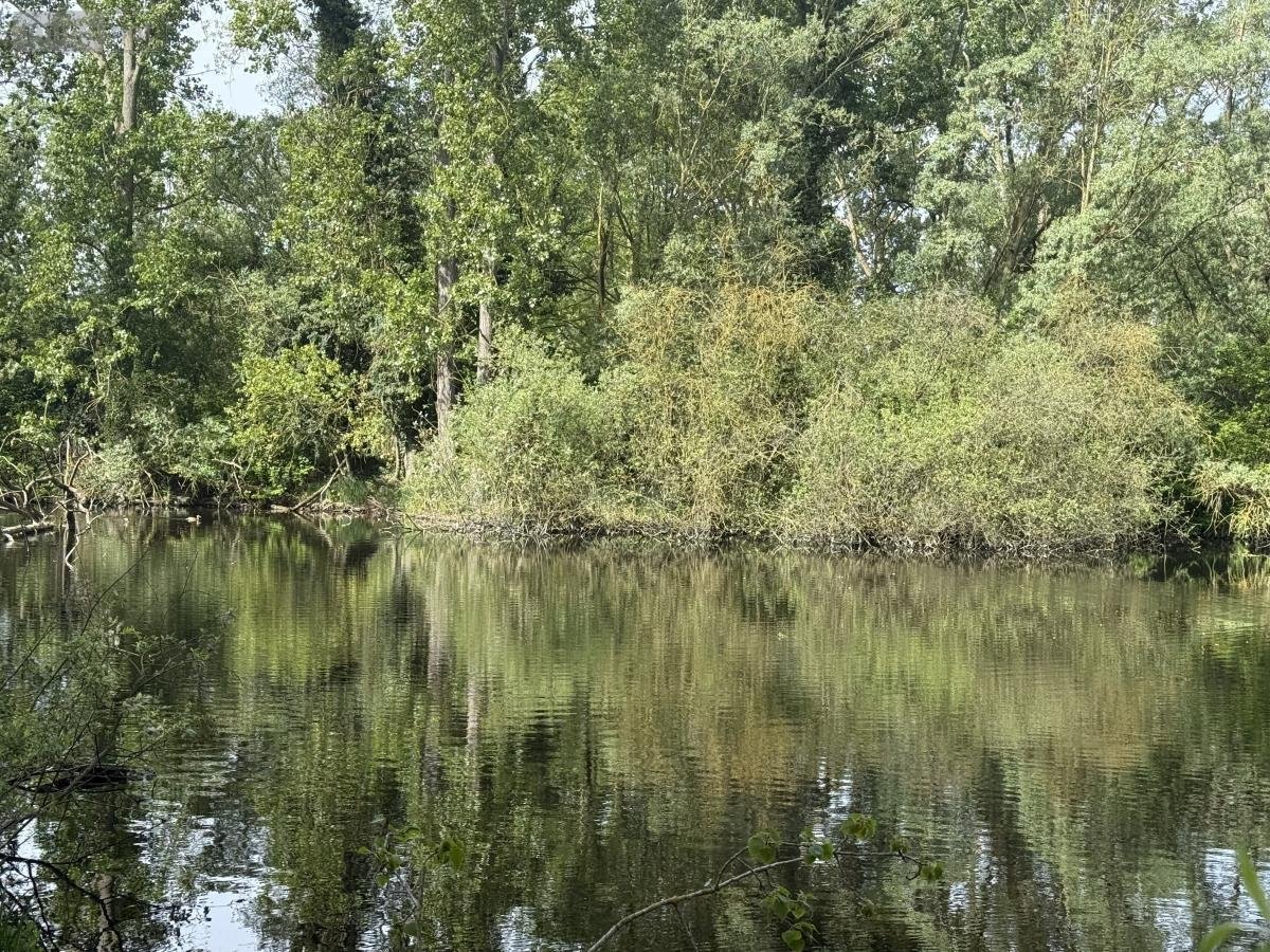 Terrains de loisirs bois etangs a vendre Daours 80800 Somme 7080 m2  28000 euros