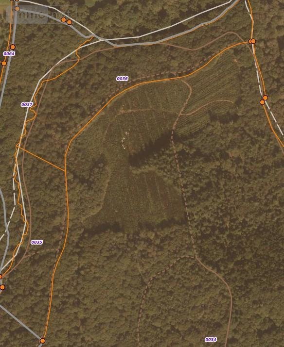 Terrains de loisirs bois etangs a vendre Moustoir-Ac 56500 Morbihan 77700 m2  43600 euros