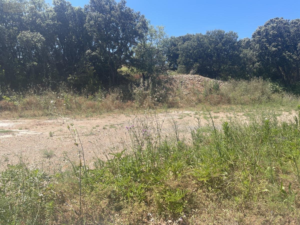 Terrain a batir a vendre Canet 34800 Hérault 518 m2  139000 euros