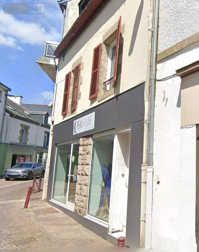 Immeuble a vendre Locminé 56500 Morbihan 120 m2  338140 euros