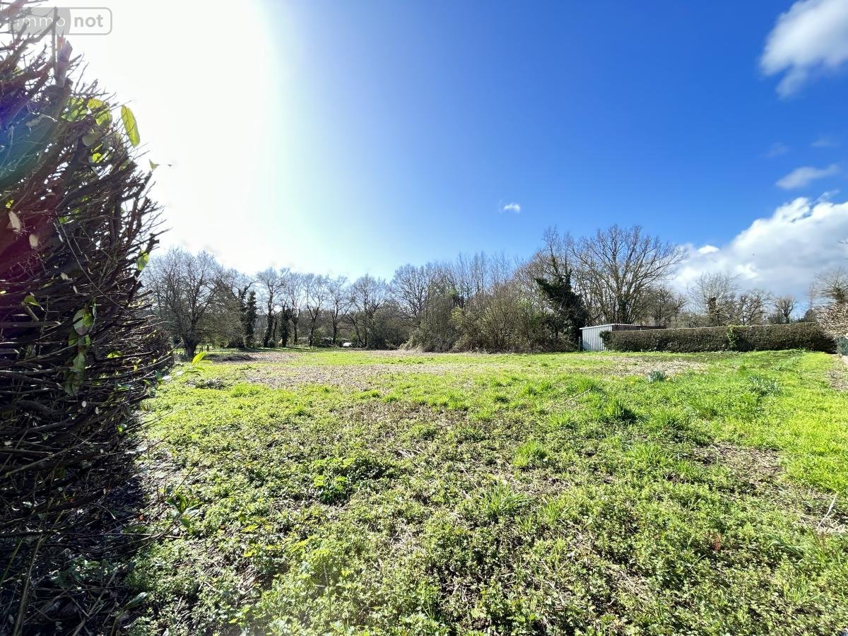 Terrains de loisirs bois etangs a vendre Guer 56380 Morbihan 2606 m2  4000 euros