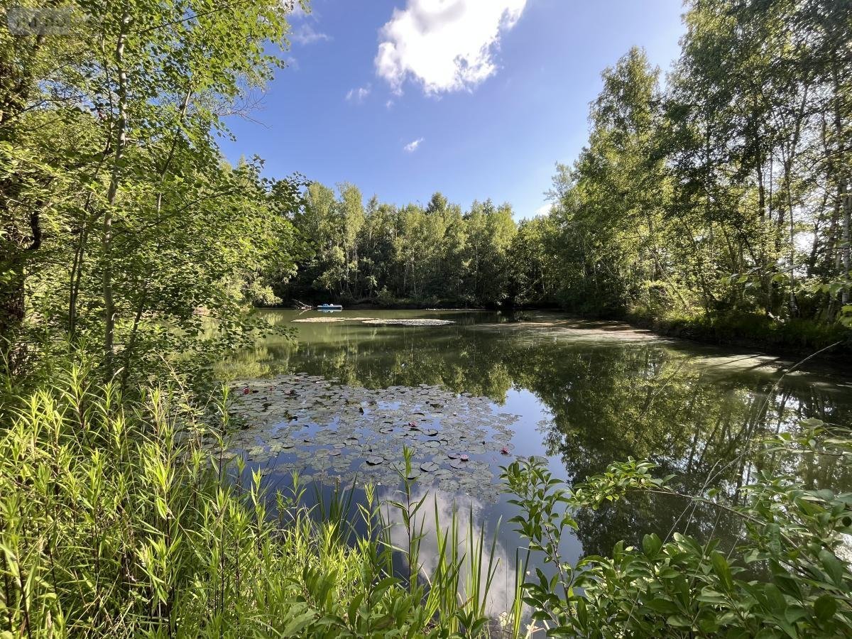 Terrains de loisirs bois etangs a vendre Étouvelles 02000 Aisne 14500 m2  69900 euros