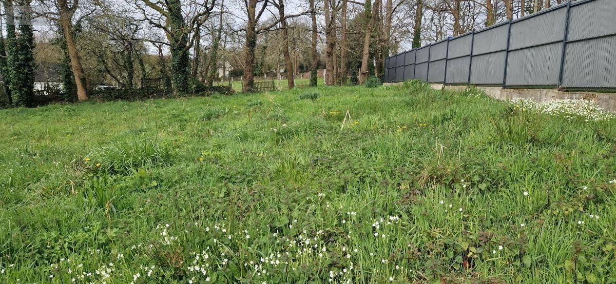 Terrain a batir a vendre Pontivy 56300 Morbihan 1069 m2  85085 euros