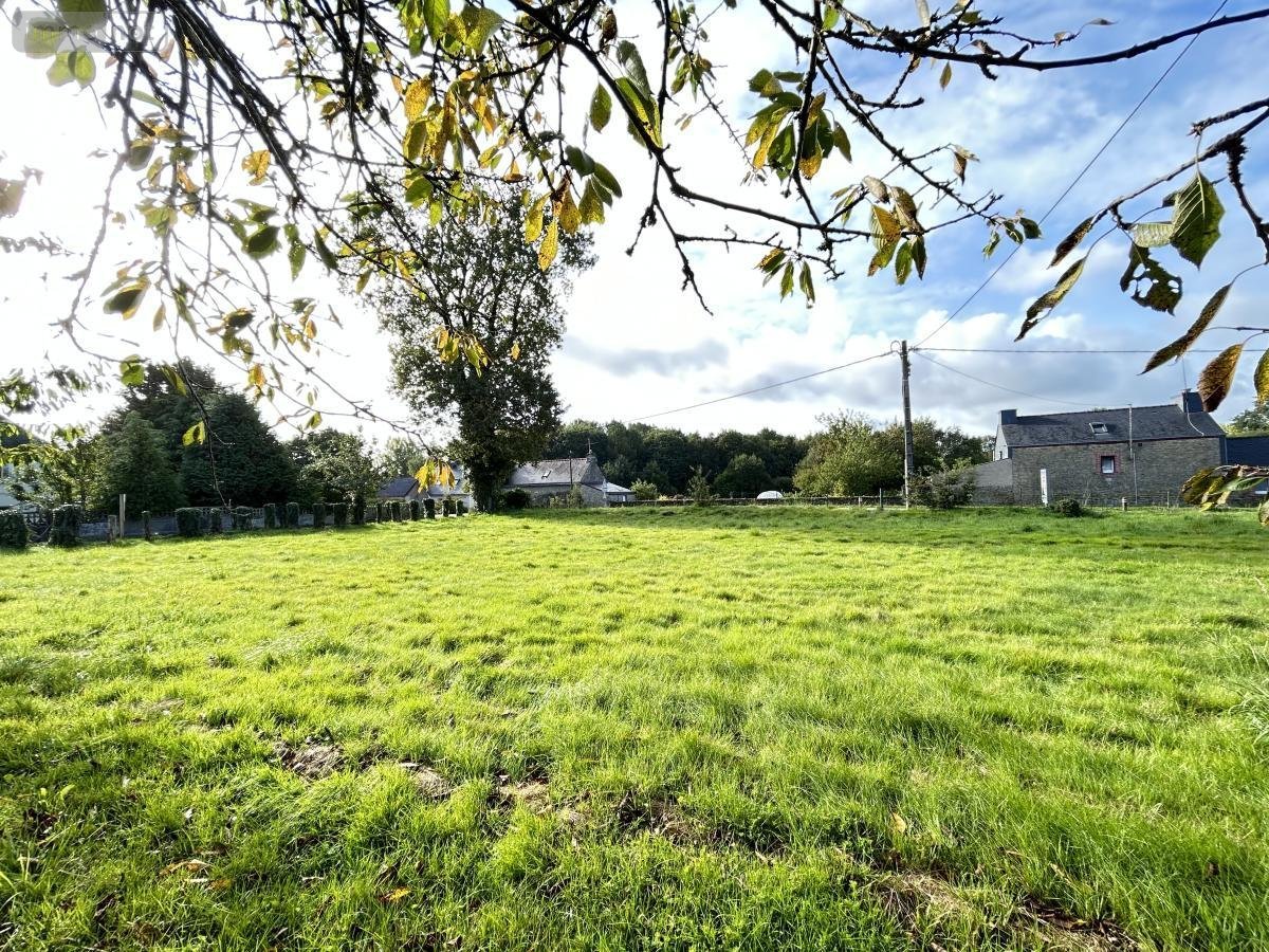 Terrain a batir a vendre Questembert 56230 Morbihan 995 m2  89500 euros