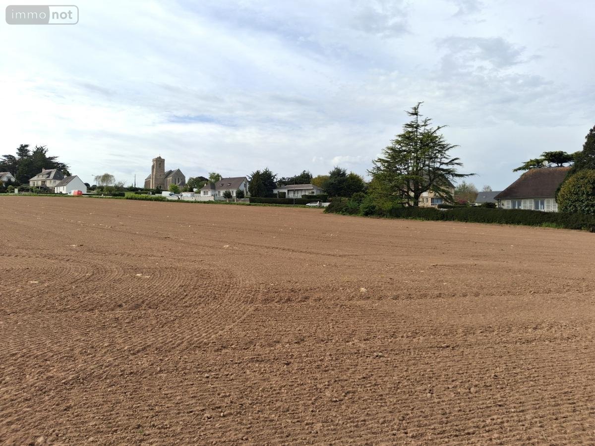 Terrain a batir a vendre Quettehou 50630 Manche 5539 m2  333536 euros