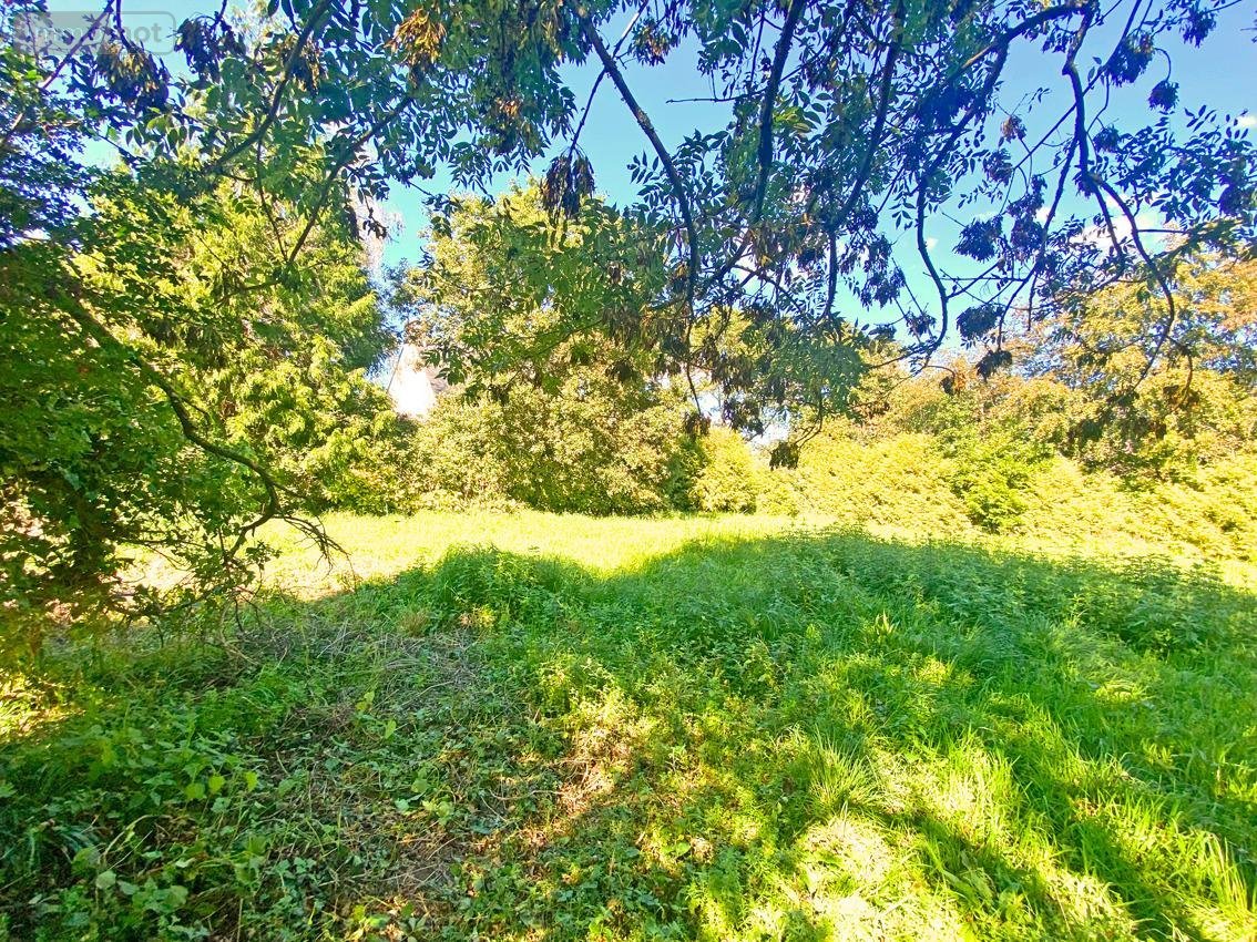 Terrain a batir a vendre Plougastel-Daoulas 29470 Finistère 931 m2  121088 euros