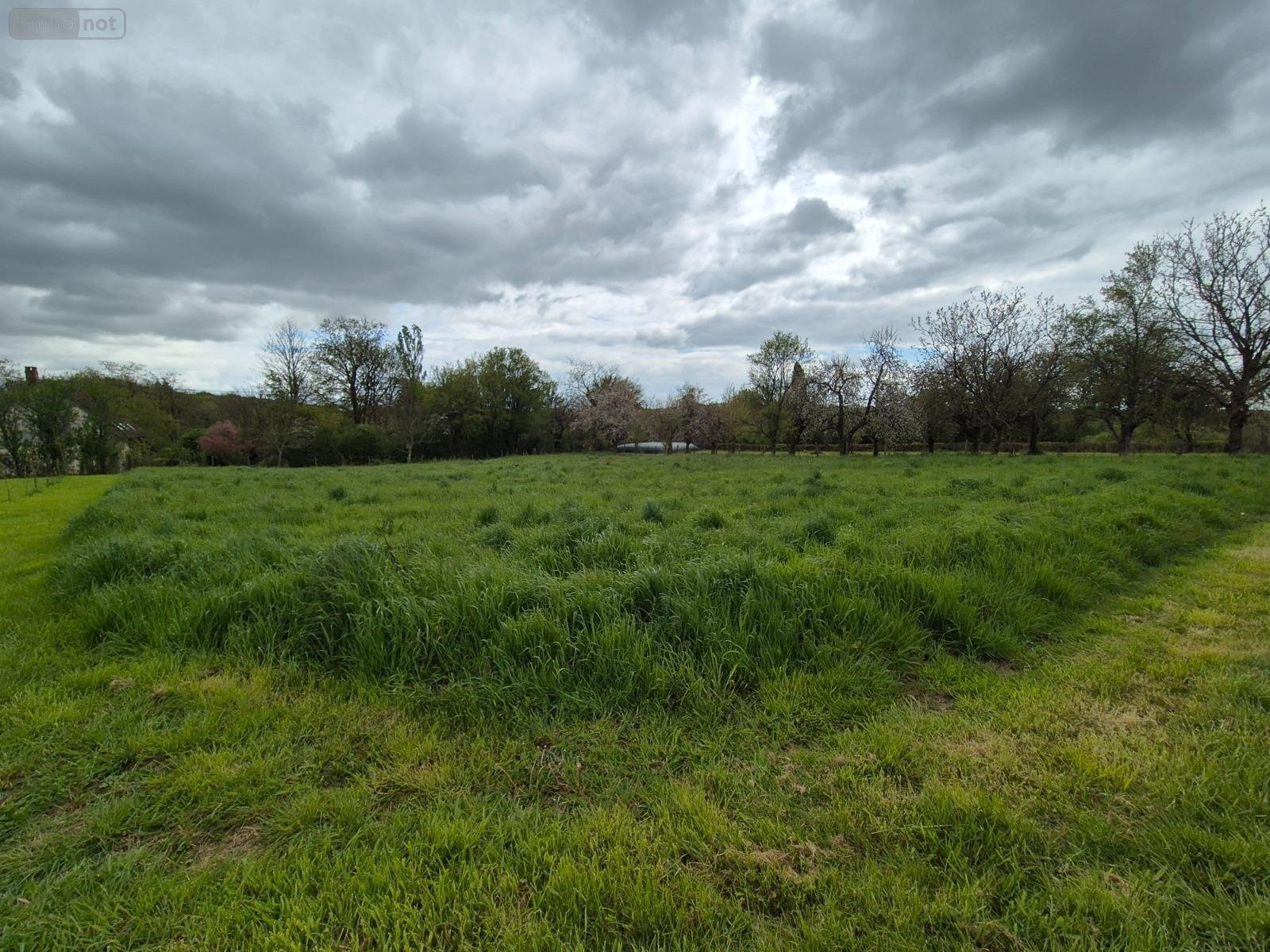 Terrain a batir a vendre Treigny-Perreuse-Sainte-Colombe 89520 Yonne 1600 m2  13600 euros