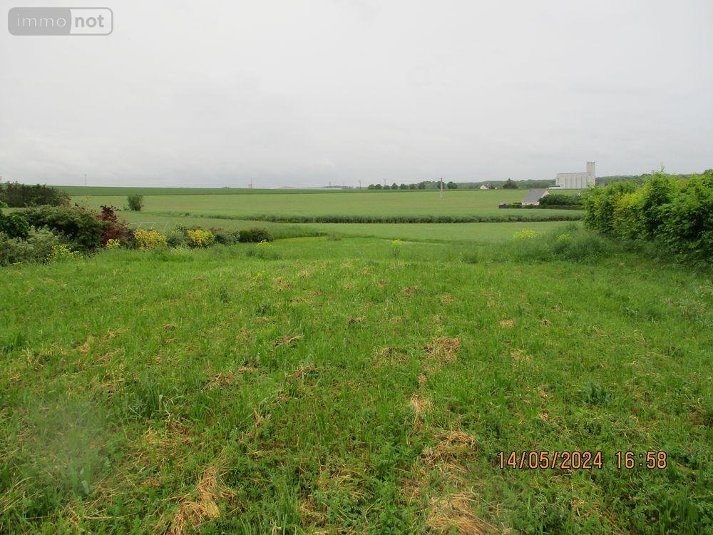 Terrain a batir a vendre Bisseuil 51150 Marne 1124 m2  90000 euros