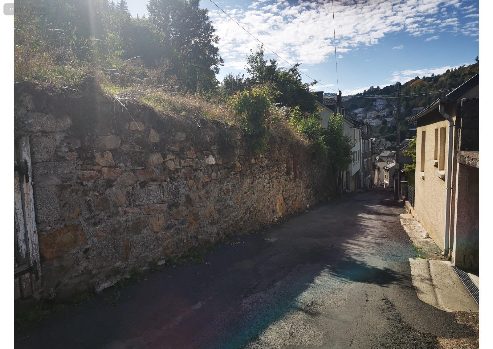 Bien agricole a vendre Chaudes-Aigues 15110 Cantal  19080 euros