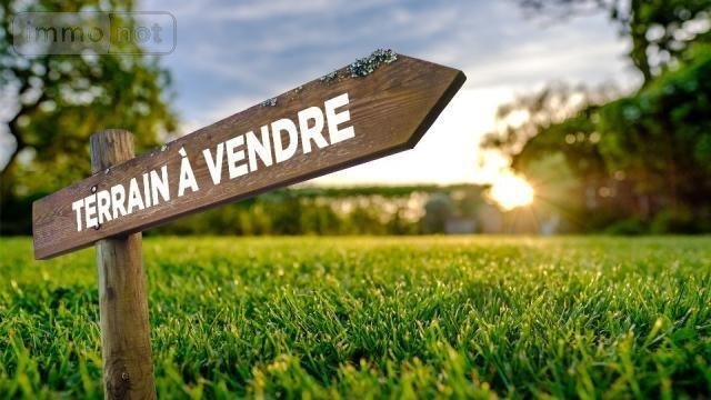 Terrains de loisirs bois etangs a vendre Villers-Allerand 51500 Marne 988 m2  6000 euros