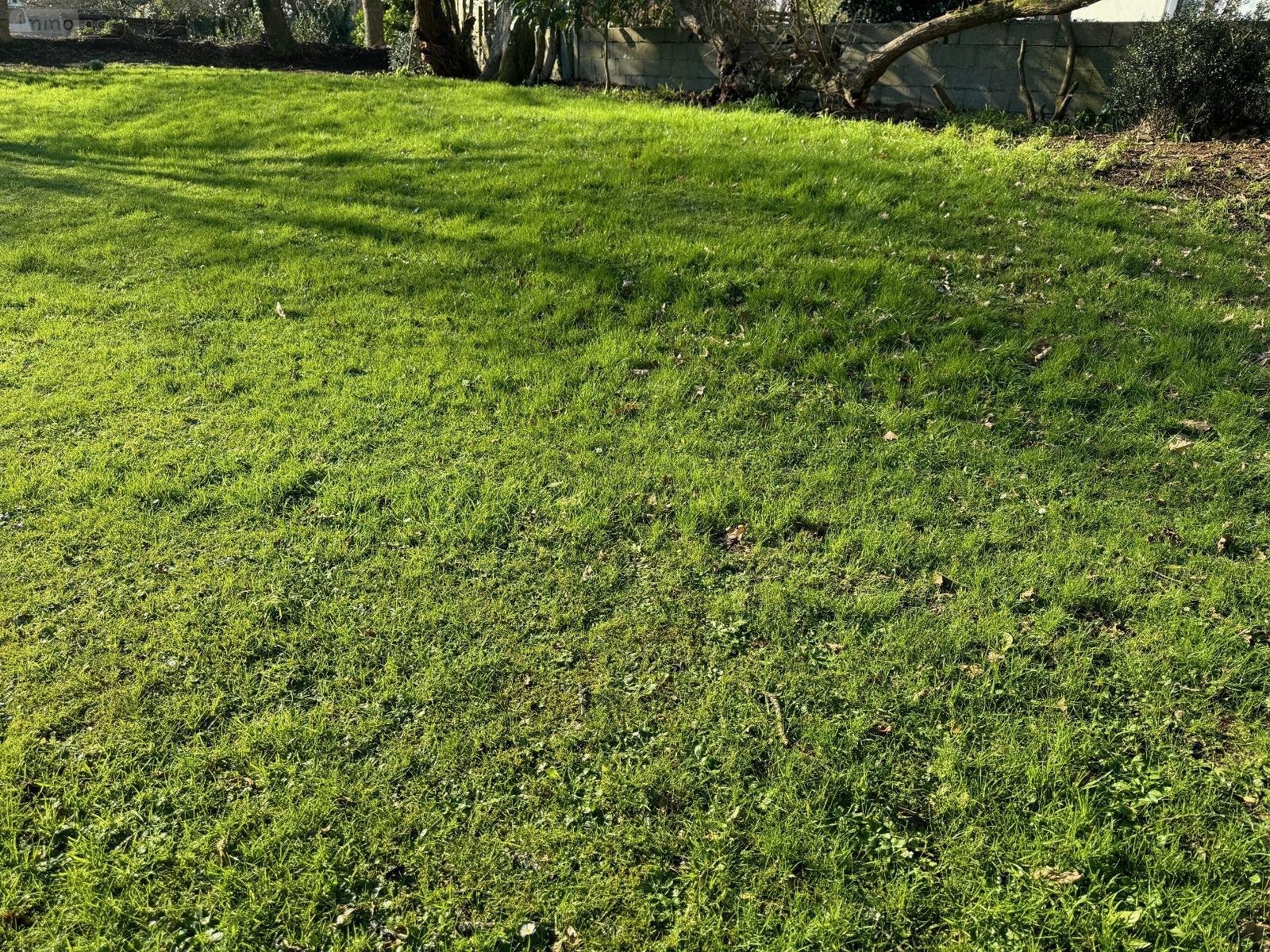 Terrain a batir a vendre Plougastel-Daoulas 29470 Finistère 700 m2  164000 euros