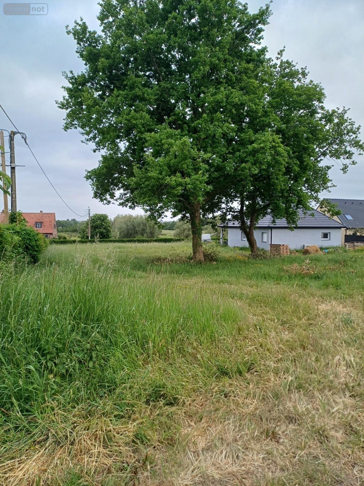 Terrain a batir a vendre Nieurlet 59143 Nord 845 m2  55120 euros