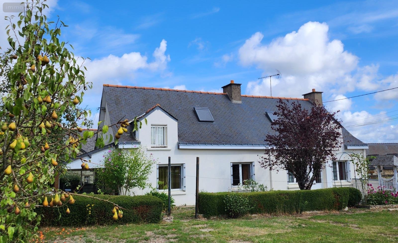 Maison a vendre Ruffigné 44660 Loire-Atlantique 120 m2 8 pièces 214225 euros