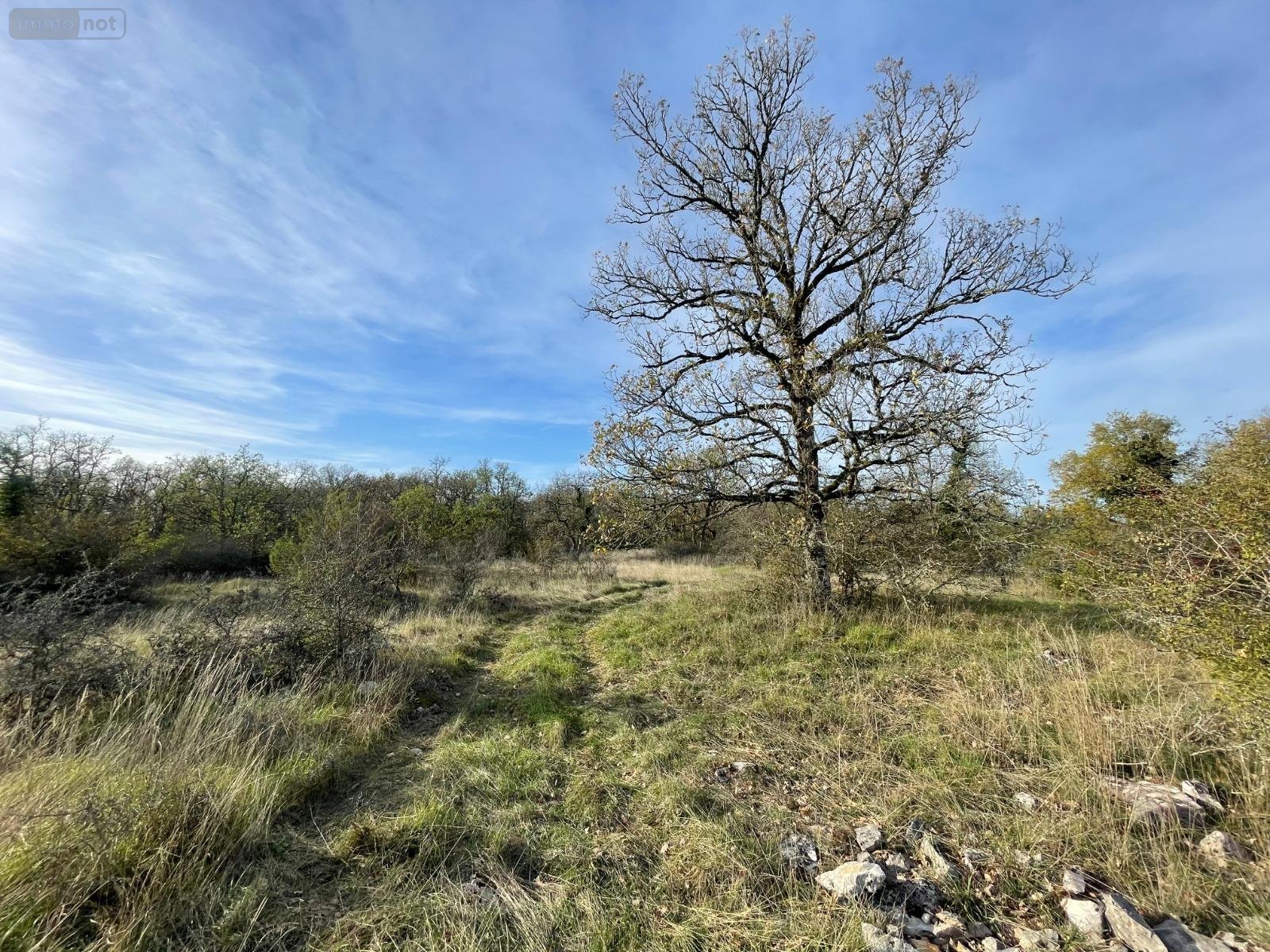 Terrains de loisirs bois etangs a vendre Assier 46320 Lot 87240 m2  23000 euros