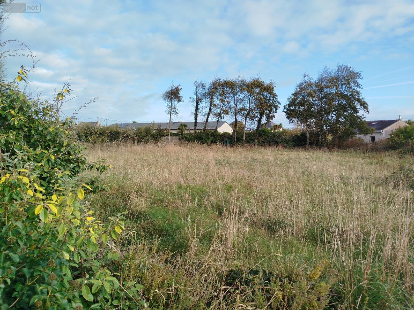 Terrains de loisirs bois etangs a vendre Plouguerneau 29880 Finistère 1997 m2  15000 euros