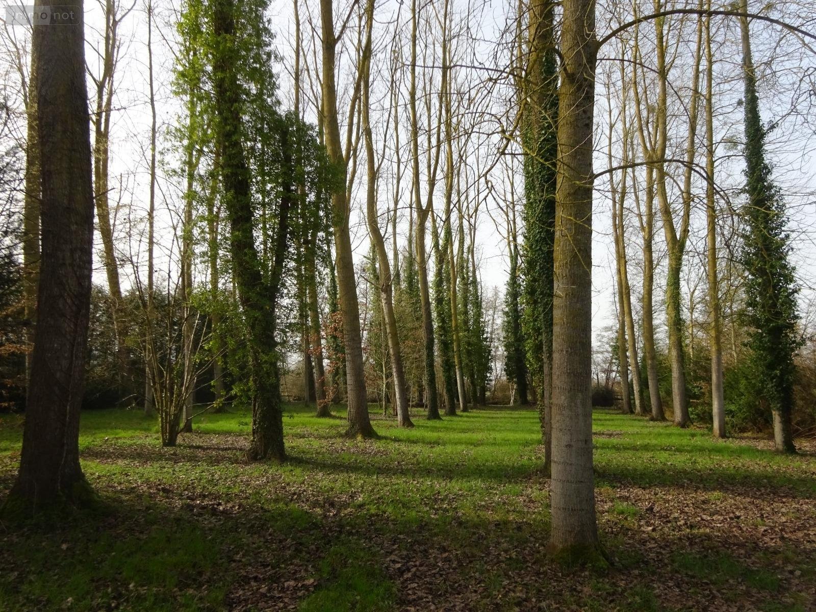 Terrains de loisirs bois etangs a vendre Nogent-le-Rotrou 28400 Eure-et-Loir 2796 m2  26500 euros