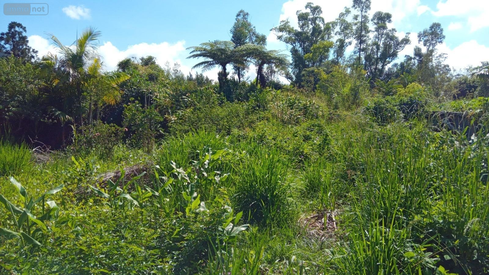 Terrain a batir a vendre La Plaine-des-Palmistes 97431 Réunion 781 m2  125000 euros